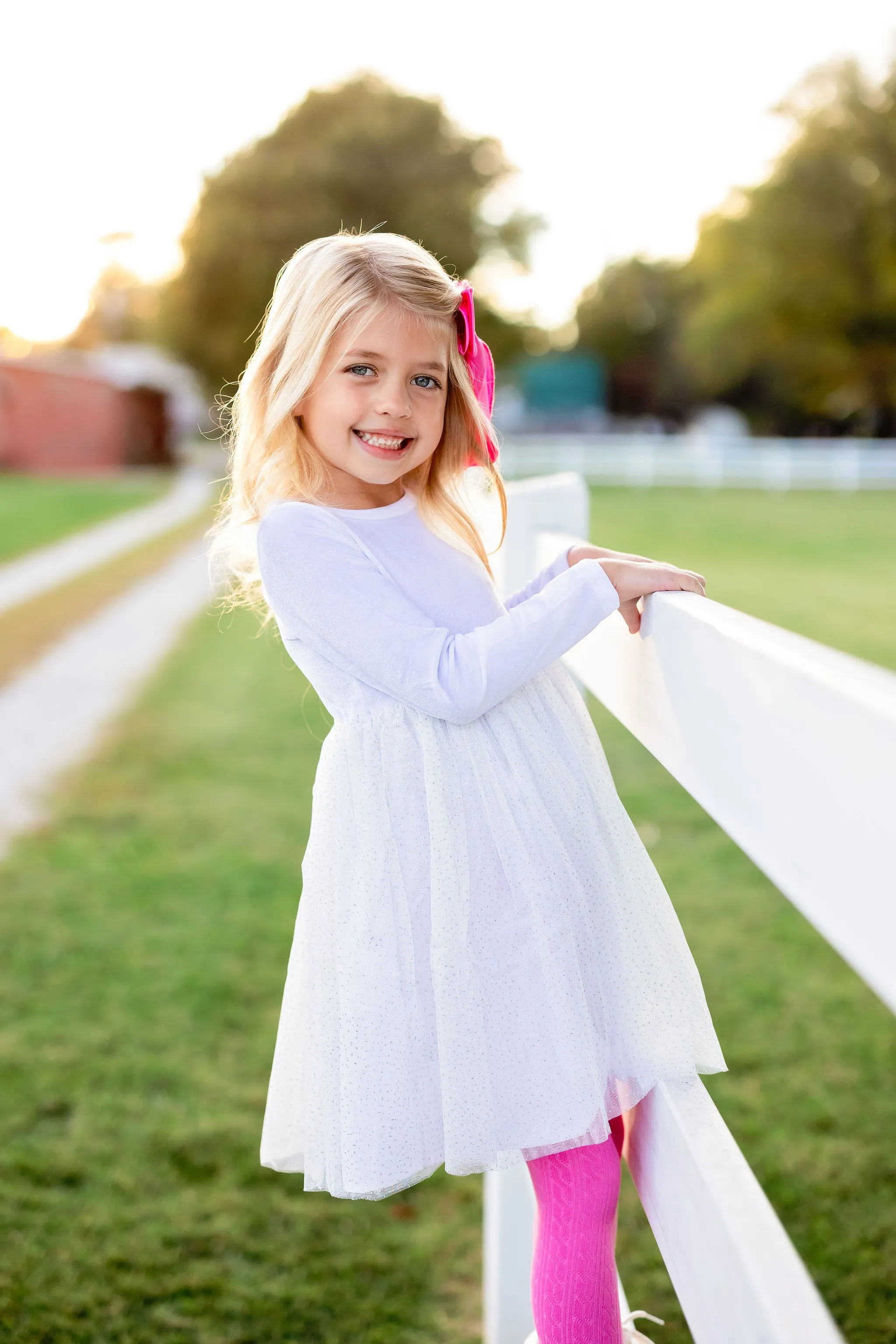 Snowball Velvet Sparkle Tutu Dress